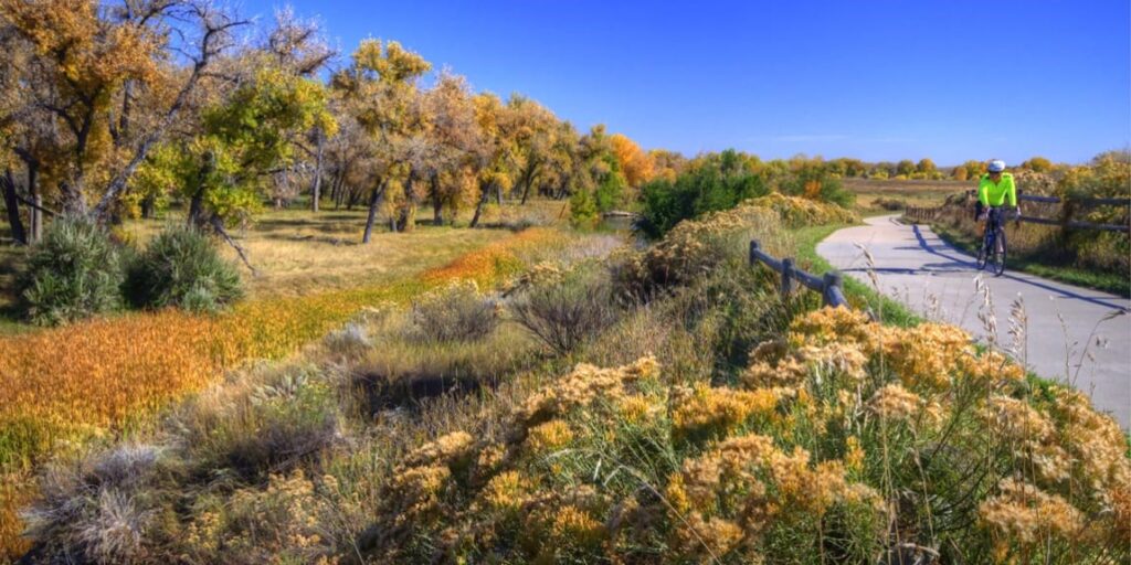 enjoy a walk on the poudre trail